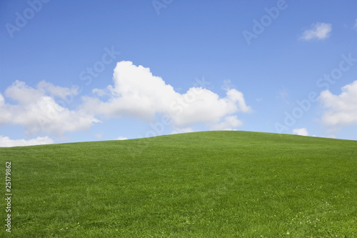 Valokuvatapetti grassy hillside and sky