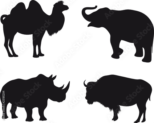 Animals vector