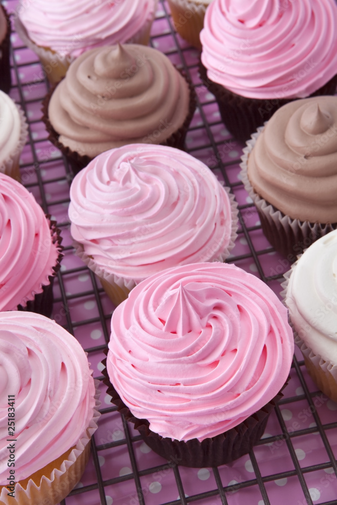 Cupcakes on Rack Cupcakes on Rack