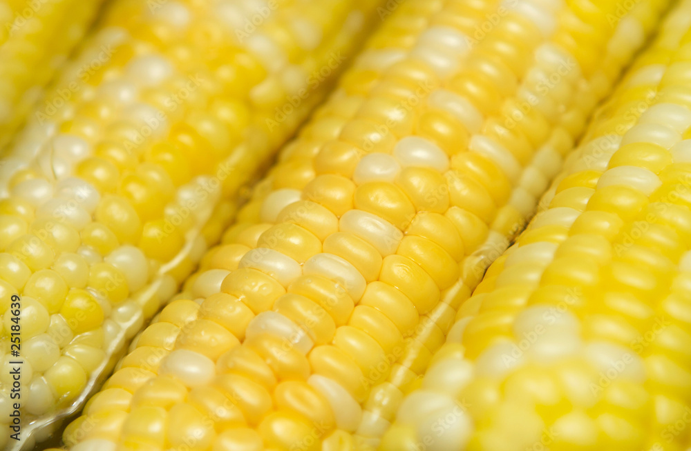 ears of corn ears of corn
