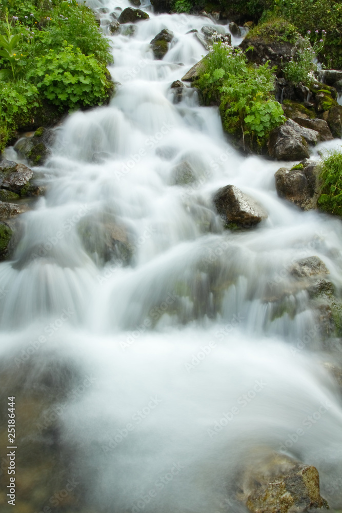 Rapid mountain stream. Caucasus