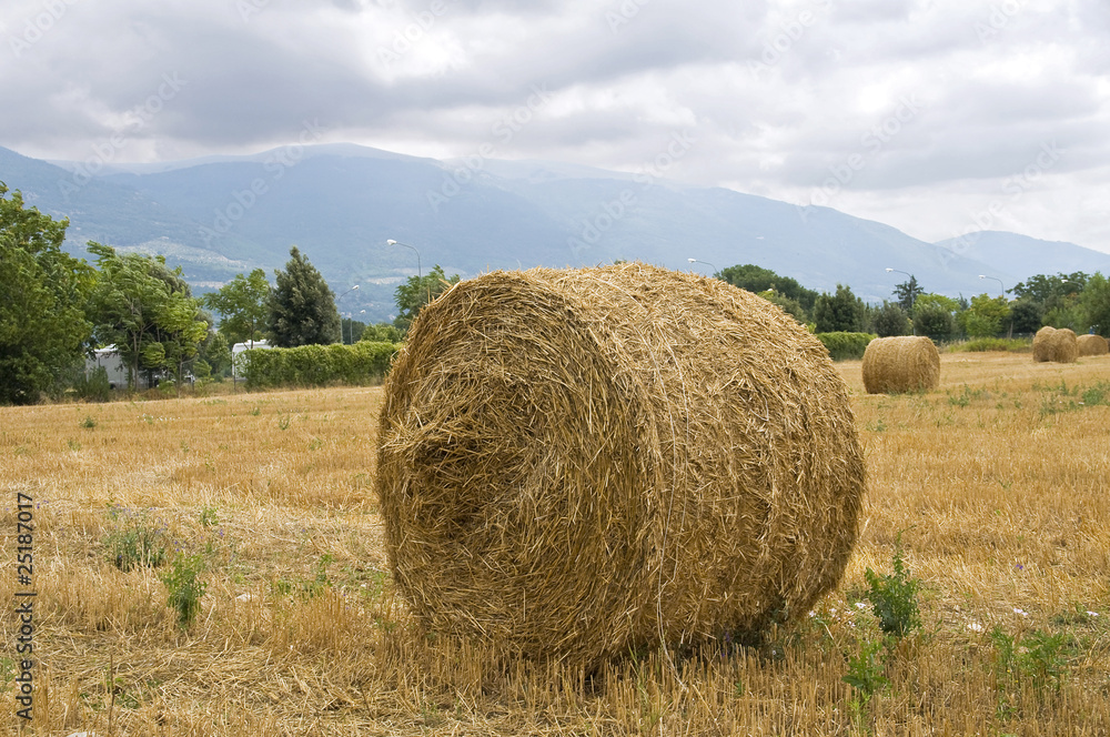 Rolling haystacks.