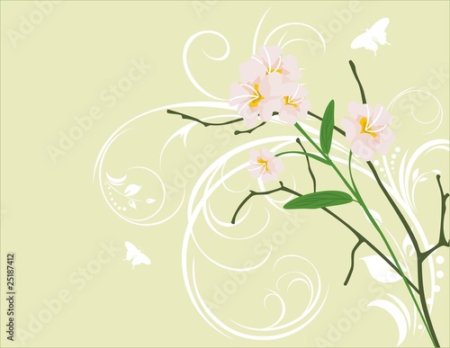 Pink flowers on the decorative background. Vector