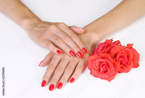 Woman hads with crimson manicure and roses