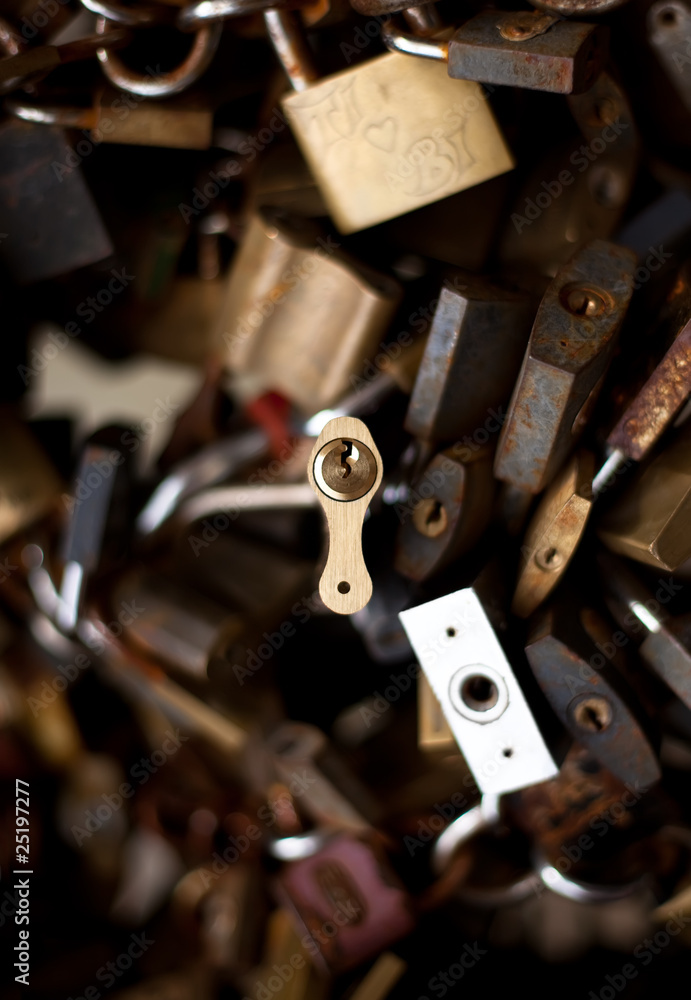 group of locks