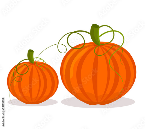 Two pumpkins illustration