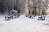 ławki w parku zimą