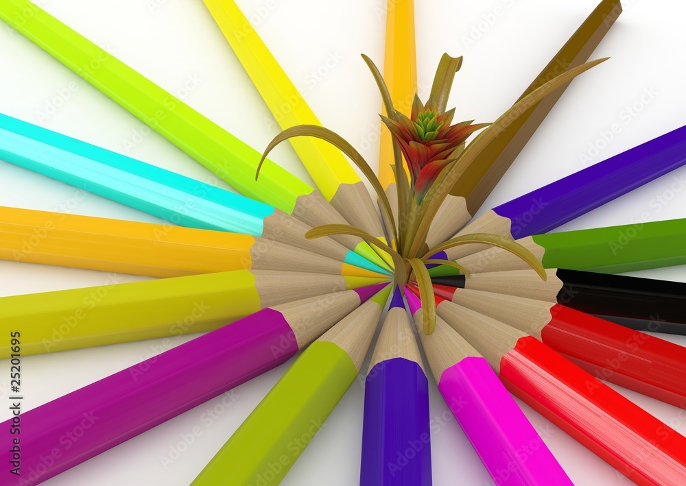 colored pencils with flower isolated on a white colored pencils with flower isolated on a white