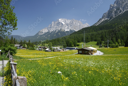 Blühende Wiesen am Fusse der Zugspitze bei Biberwier in Tirol.