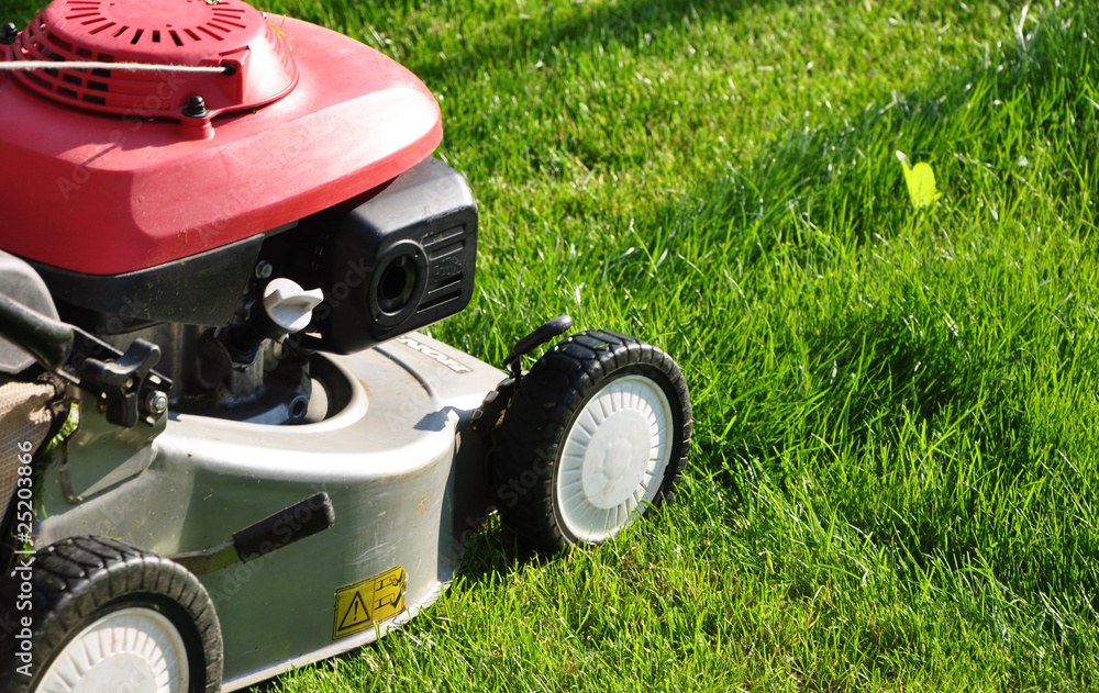 Fototapeta premium tondeuse de gazon