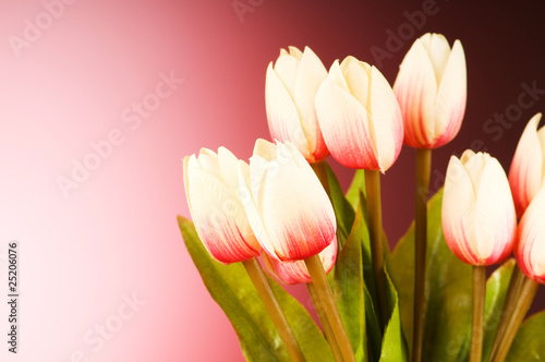 Fototapeta Naklejka Na Ścianę i Meble -  Bunch of tulip flowers on the table