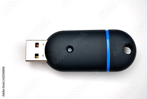 Vászonkép Thumb Print - Isolated