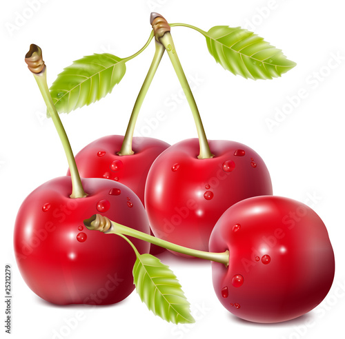 Vector illustration. Cherries with water drops.