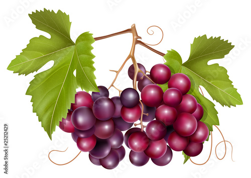 Vector. Grape cluster with green leaves.