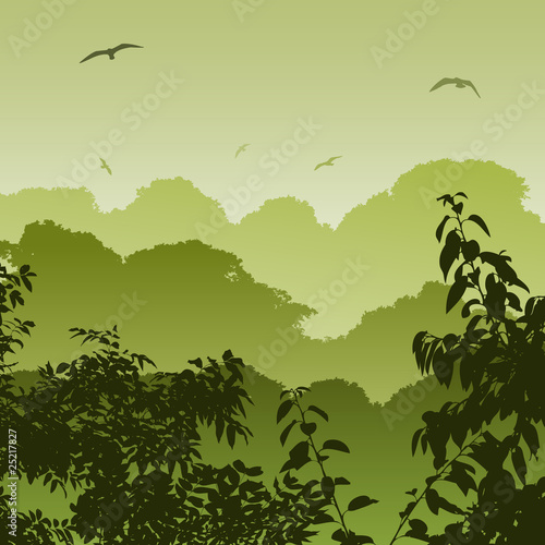 A Green Forest Landscape with Trees