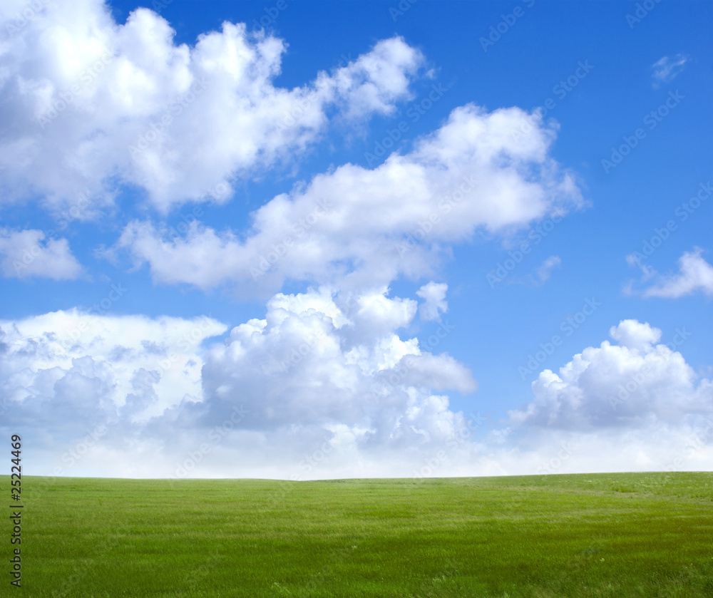 Beautiful green field on a cloudy background Beautiful green field on a cloudy background
