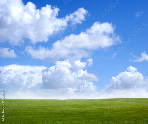 Beautiful green field on a cloudy background