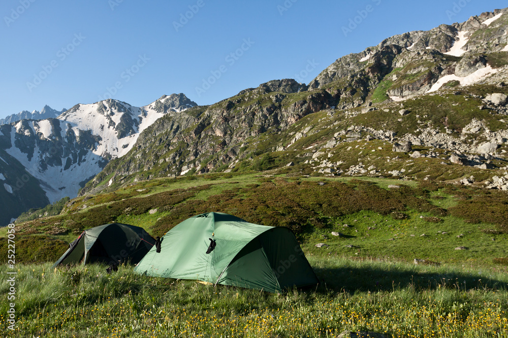 Camping tents on sunny grassland.