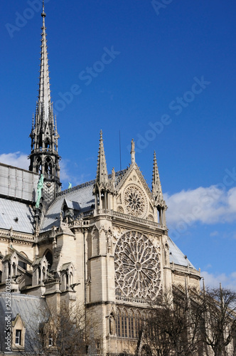 Notre Dame des Paris closeup