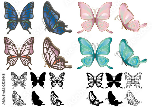 butterfly1