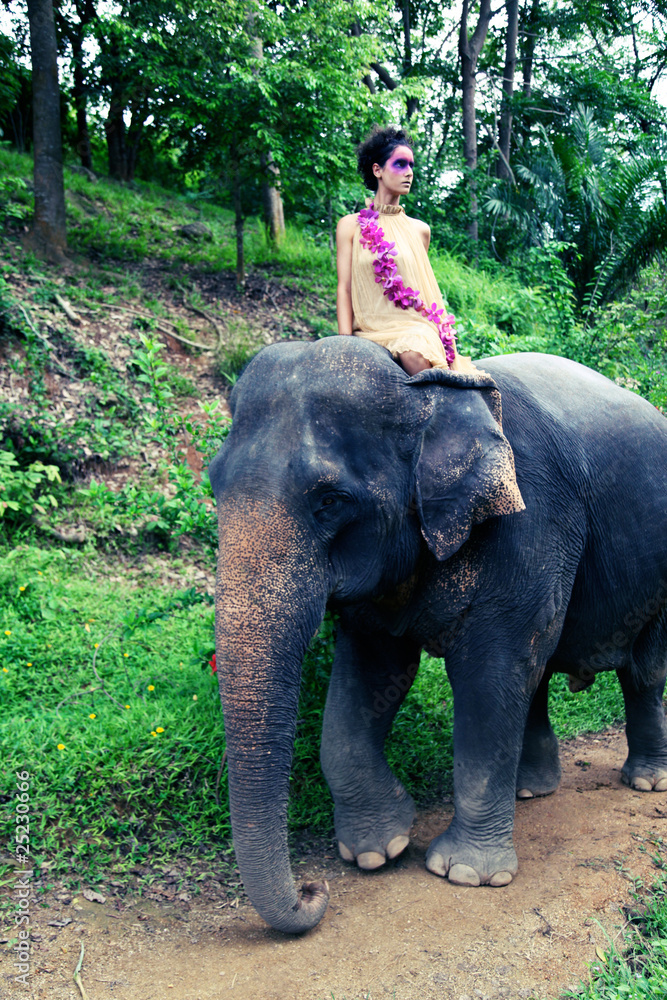 Fototapeta premium Model and elephant.