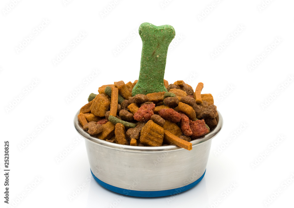 A Bowl of Dog Food