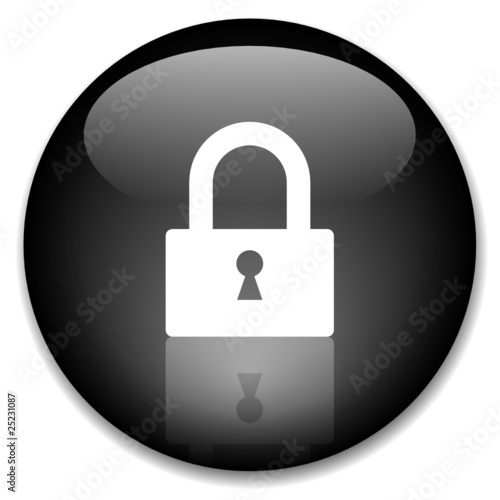 SECURE ACCESS Web Button (security internet padlock connection)