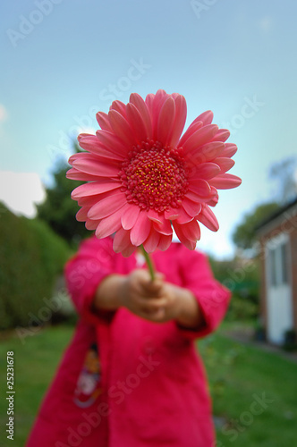 Cuadro en lienzo Flower for peace