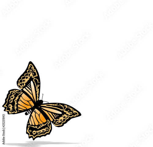 papillon # SP6437