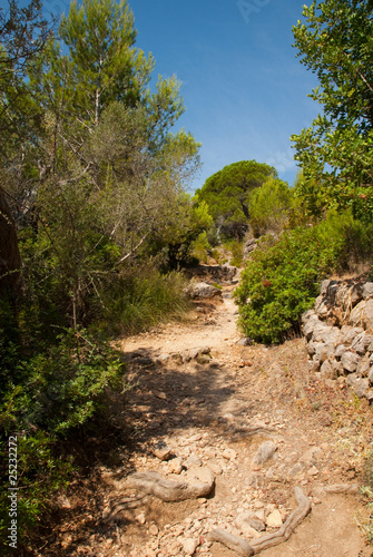 Montaña, Castillo de Alaro, Mallorca, Baleares photo