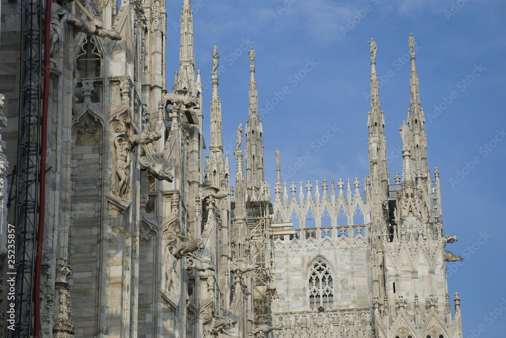 Duomo di Milano particolare