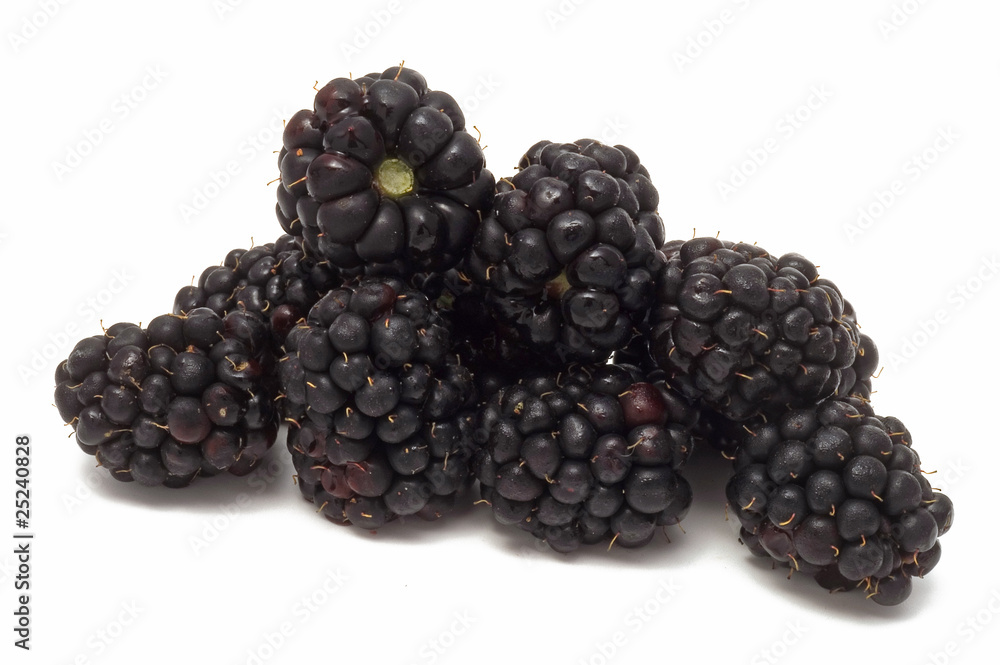 Brombeeren Brombeeren