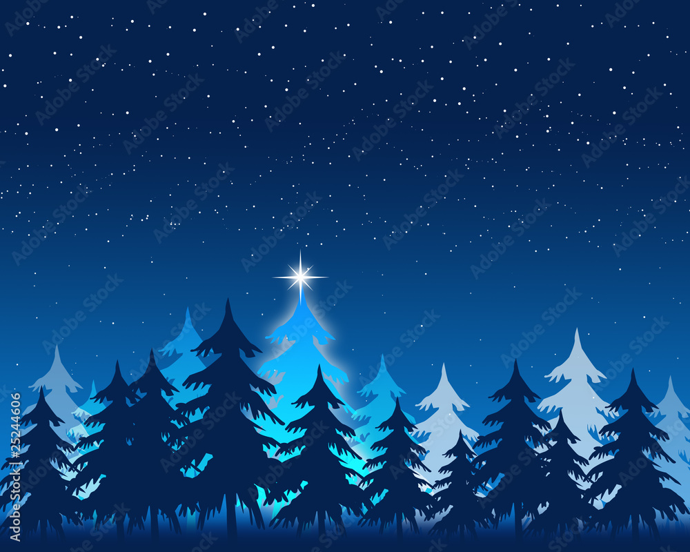 Fototapeta premium イブの夜空