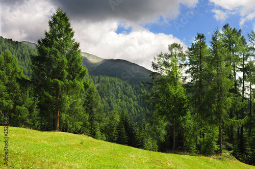 nuvole e prati e alberi in montagna