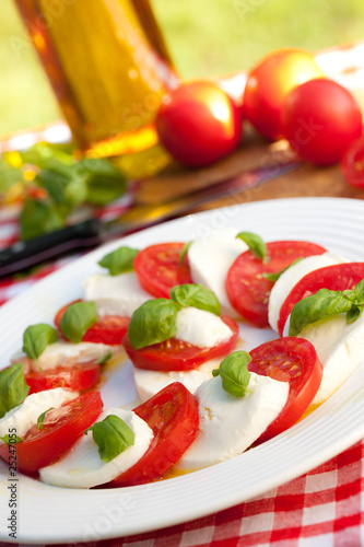 caprese salad on white plate