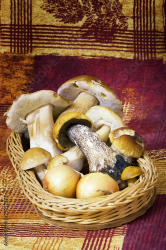 Basket with mushrooms and onions