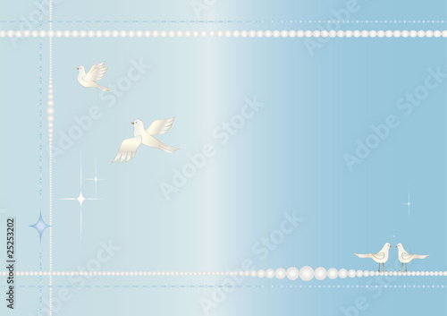 birds-fly