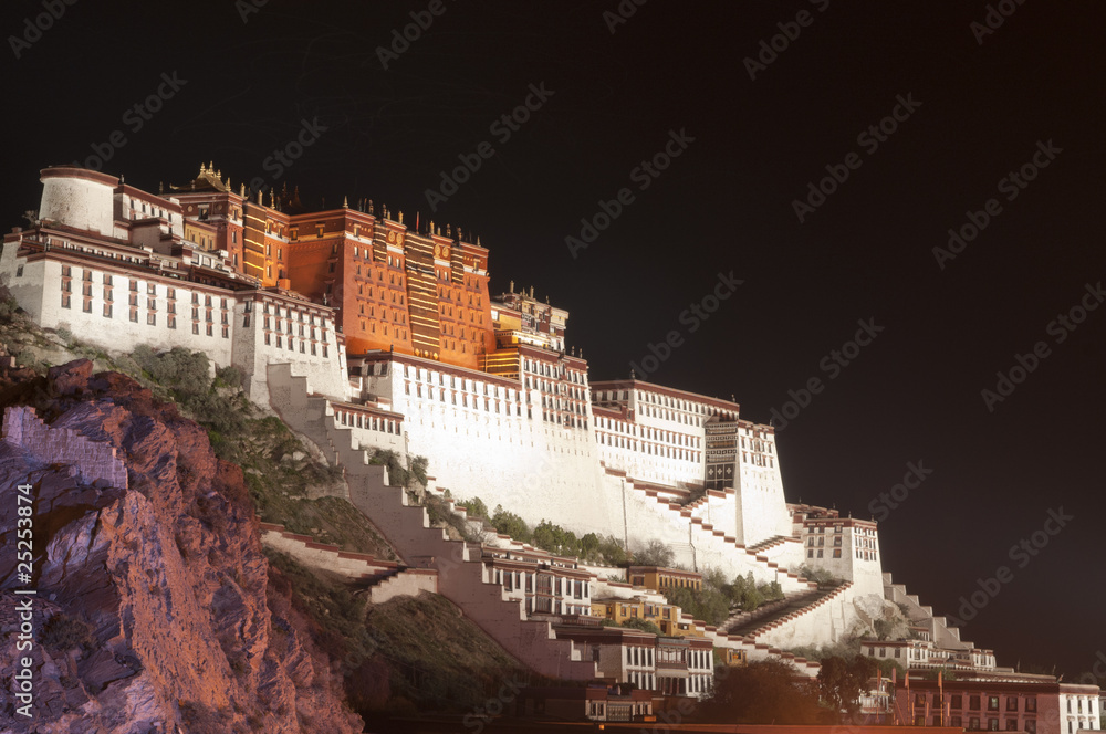 the Potala Palace