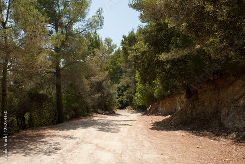 Montaña, Castillo de Alaro, Mallorca, Baleares photo