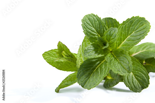 Mint leaf