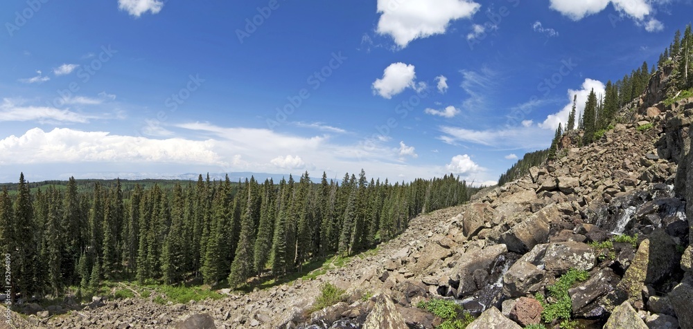Fototapeta premium Colorado Moutain Panorama