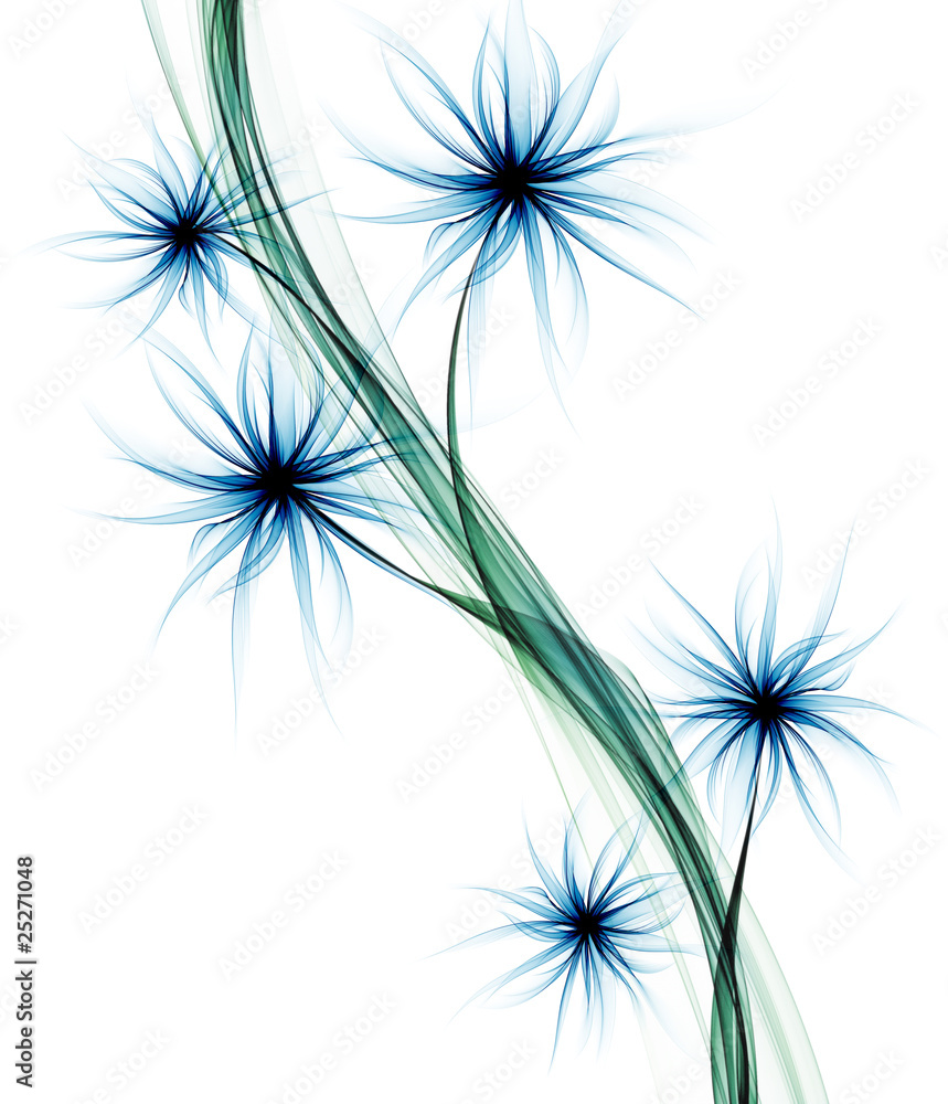 decorative blue flowers isolated on white background