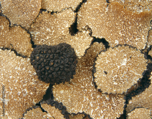 sliced black truffles