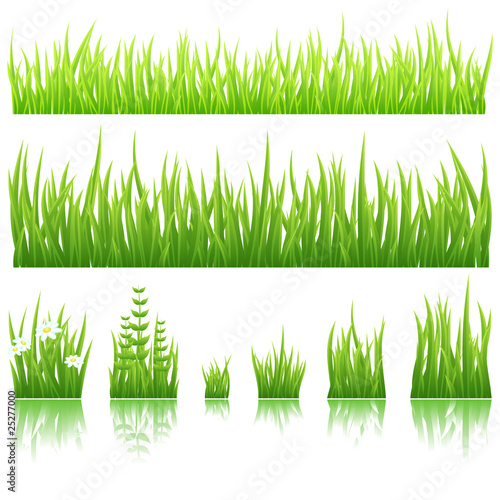 Green grass