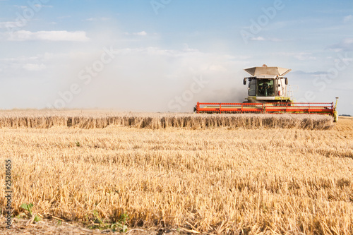 Getreideernte