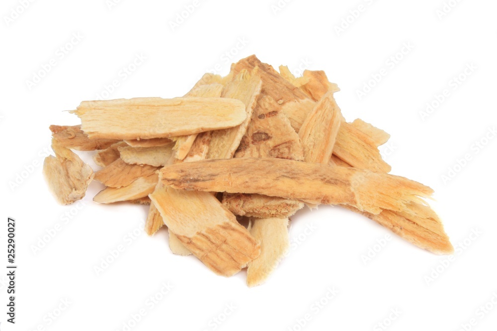 Photography Astragalus