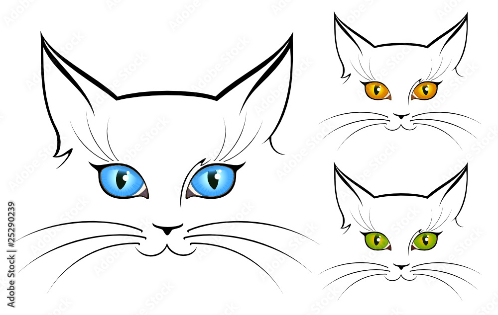 head of cat head of cat