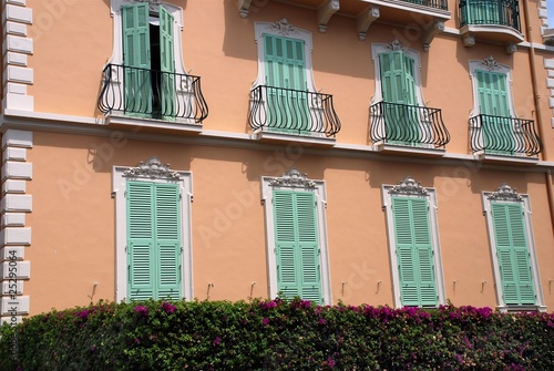 Green window shutter on luxury house
