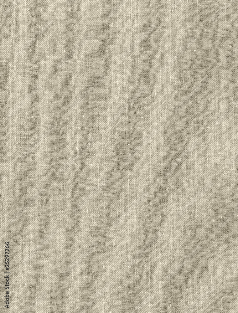 Fototapeta premium Canvas background