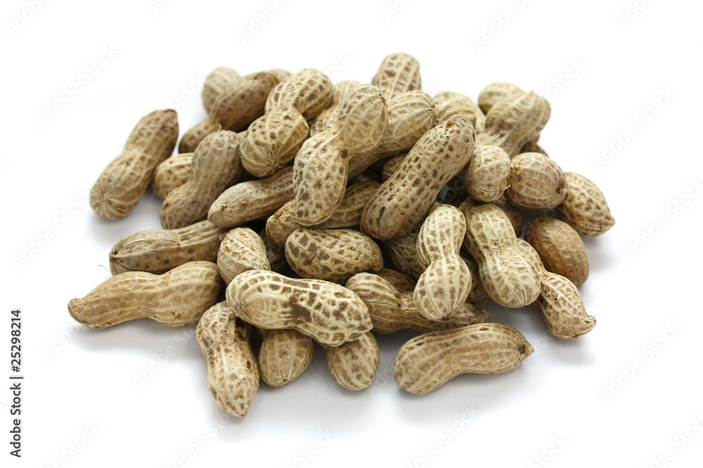 Peanuts harvest Peanuts harvest